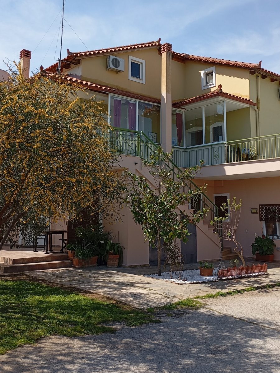 1000038011 1000038011